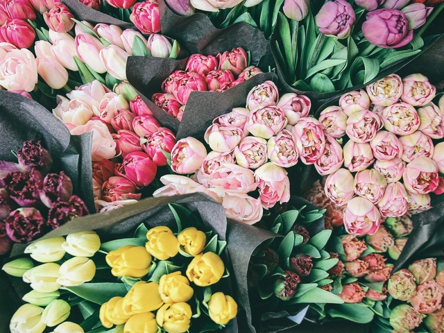 different type of credit accounts